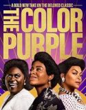 The Color Purple 2024 İzle