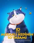 Meraklı Kedinin 10 Yaşamı Animasyon Filmi İzle