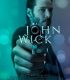John Wick 1 (2014) İzle